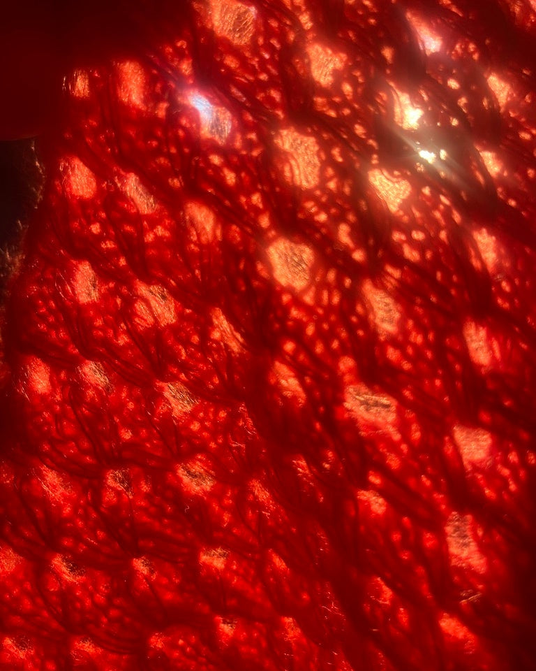 Euphoria Raglan Sweater Dansk